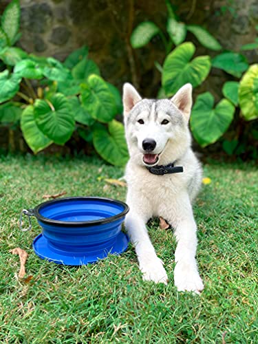 Tuff Pupper SuperBigSlurp Collapsible Dog Bowls, Extra Large Capacity, Portable, Food Safe, Odorless, Non-Toxic Silicone - color: Nebulas Blue