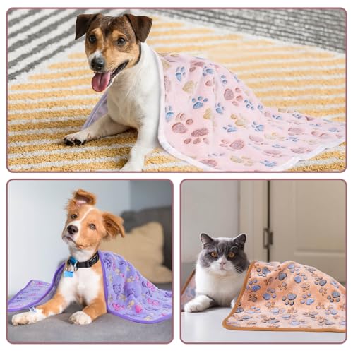 Dono 1 Pack 3 Blankets Soft Fluffy Paw Print Pattern Fleece Pet Blanket Warm Sleep Mat Puppy Kitten Blanket Doggy Mat Paw Print for Animals-23 * 16in - color: Lightpaw, size: Large(41*31")