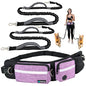 PetAmi Hands Free Dog Leash, Running Leash Belt Bag for Walking, Jogging, Waist Double Zipper Pouch with Poop Dispenser, Dual Padded Handles Reflective Bungee Double, Purple, 2 Leashes - color: Purple, size: 2 Leashes