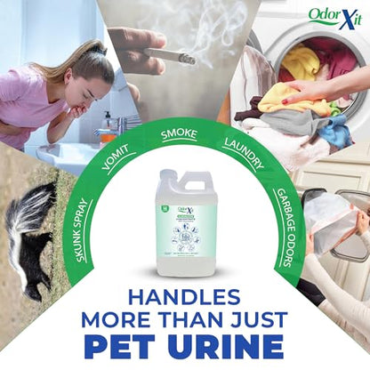 Concentrated Pet Urine Odor Eliminator, Ideal for Cat, Dog Poo and Urine Smell, Versatile & Natural Odor Neutralizer for Home and Outdoor Use, Deodorizer & Absorber, Concentrate, 64oz - style: 64 Fl Oz Concentrate
