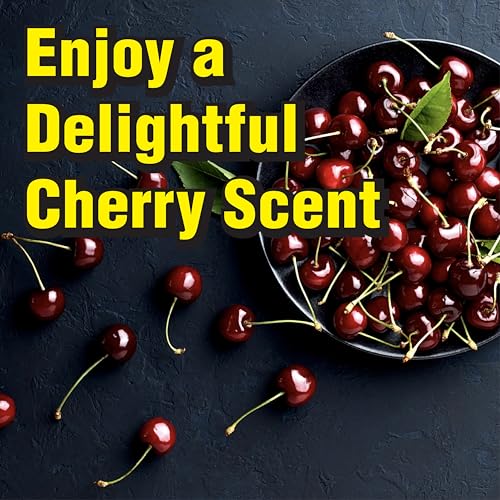 Sweet Air Spray,16 Ounces Aerosol Odor Neutralizer Spray With Strong But Pleasant Cherry Scent, Works Fast to Eliminate Unwanted Fuel, Garbage, HVAC Odors, Made In USA (60-520) - size: 1 Ounce (Pack of 1)