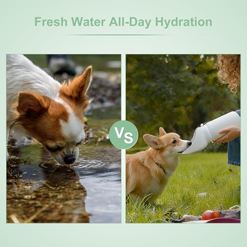 Portable Dog Water Bottle, Collapsible Leak-Proof Water Dispenser, Dog Travel Water Bottle for Hiking Travel, 550ml, Grey