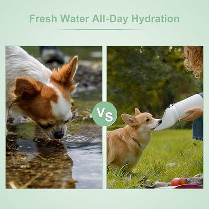 Portable Dog Water Bottle, Collapsible Leak-Proof Water Dispenser, Dog Travel Water Bottle for Hiking Travel, 550ml, Grey