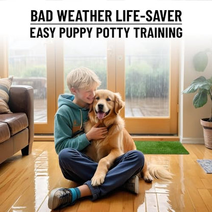Ottomanson Artificial Grass Puppy Potty Training Pad with Tray, 15" x 30" Reusable Pee Pad for Small Pets and Dogs - color: A Black Tray/Grass, size: Pet - 15" x 30"