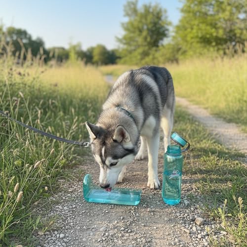 OllyDog OllyBottle Tritan Water Bottle with Detachable Dog Bowl | BPA Free Leakproof | 34oz | Share Water with Your Dog | Hiking Travel Camping (1L, Aqua Blue) - color: Aqua Blue, size: 1L