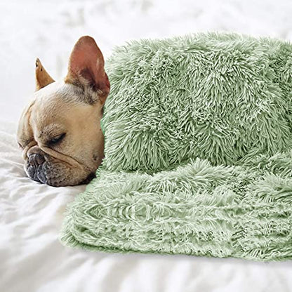 Pet Dog Bed Blankets, Fluffy Fleece Dog Throw Blankets Sleep Mat,Soft Puppy Blankets Cat Kitten, S M L XL,Fuzzy Reversible Sherpa Blanket for Bed, Couch, Sofa, Travel,Washable & Lightweight - color: Green, size: 40 INCH X30 INCH