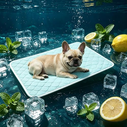 Pet Cooling Mat Scratch Resistant QMAX>0.5 Instant 6-12°F Drop,No Water or Electricity Needed Self Cooling Crate Mat for Bed, Floor, Car Travel Indoor Outdoor Summer Use Light Blue 28" x 22" - color: Light Blue, size: M (28" x 22")