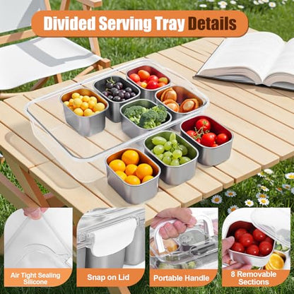 Snackle Box Container with Ice Pack, 304 Stainless Steel Divided Serving Tray, Snacklebox with Insulated Bag, 8 Compartment Platter Box with Lid and Handle for Beach, Road Trip, Boat Days, Pool Party - color: Silver White