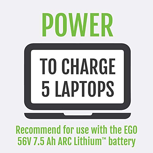 EGO POWER+ Portable Inverter, 150W, Power Inverter Generator, Quiet, Battery and Charger Not Included - PAD1500 - style: 150W w/USB A (No Battery/Charger)
