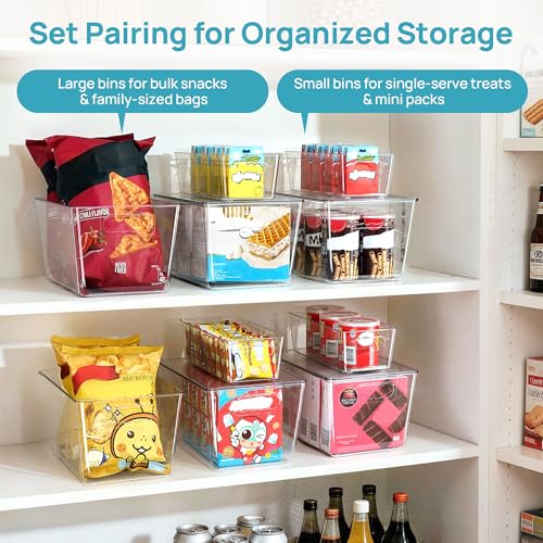 Vtopmart 10 Pack Clear Plastic Storage Bins with Lid Set, 6 Large and 4 Small Pantry Organizers and Storage Bins with Handle, Storage Containers for Pantry, Kitchen, Fridge, Cabinet Organization - size: 6 Large (With Lid) + 4 Small