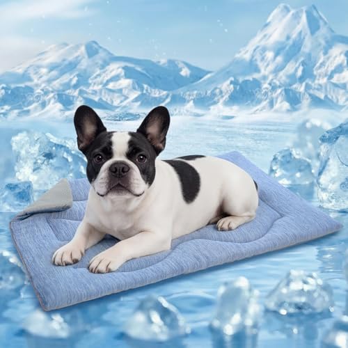 Queenmore Dog Cooling Mat, Cool Dog Mat, Portable Flat Pet Pads for Dogs, Materials Safe, Washable Non-Slip Cooling Pet Pad for Puppy in Summer (Blue Wave, Medium(31" x 19")) - color: Blue Wave, size: Medium