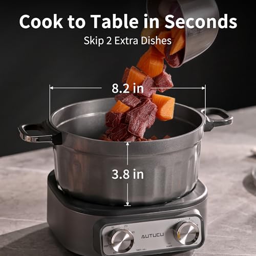 N74SNA Hot Pot Electric, Multi-Cooker 2.5 Quart Grill Steamer Set, PFOA-Free Nonstick for Steak, Soup, Fried Rice, Oatmeal, Egg, Ramen with Power Adjustment - size: Dual-Handle Pot