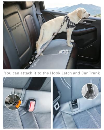 AUBELL Dog Seat Belt for Car,Updated 3-in-1 Adjustable Reflective Bungee Heavy Duty Dog Car Harness Tether with Clip Hook Latch & Buckle,Swivel Zinc Alloy Carabiner,Grey - color: Grey