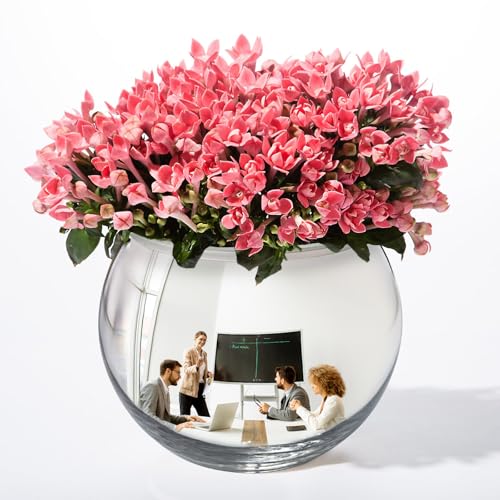 6" Spherical Convex Mirror Glass Bowl Vase - Safety Cubicle Reflector & Desktop Rearview Mirror to See Behind You for Office/Home Décor, Floral Arrangements, Planter Storage (Silver) - color: 6-inch Silver