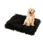Pet Dog Bed Blankets, Fluffy Fleece Dog Throw Blankets Sleep Mat,Soft Puppy Blankets Cat Kitten, S M L XL,Fuzzy Reversible Sherpa Blanket for Bed, Couch, Sofa, Travel,Washable & Lightweight - color: Black, size: 30 INCH X20 INCH