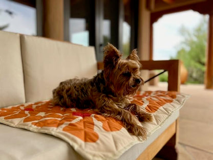 Waterproof Blanket, 29" x 34” - Seat Cover for Dogs and Pets. Ideal for Small and Medium Pet Crate Blankets, Settle mat, Diaper Changing and Playmat for Babies - color: Rust and Green