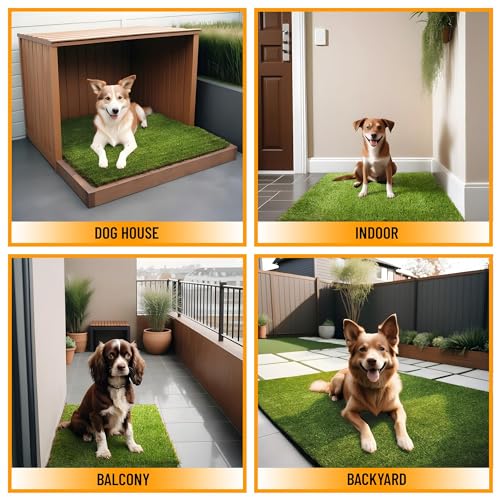 Ottomanson Artificial Grass Puppy Potty Training Pad with Tray, 15" x 30" Reusable Pee Pad for Small Pets and Dogs - color: A Black Tray/Grass, size: Pet - 15" x 30"
