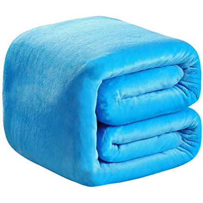Polar Fleece Throw Blankets Travel Size Light Blue for The Bed Extra Soft Brush Fabric Super Warm Sofa Throw Blanket 50" x 61"(Lake Blue Travel) - color: Lake Blue, size: Travel (50-Inch-by-61-Inch)