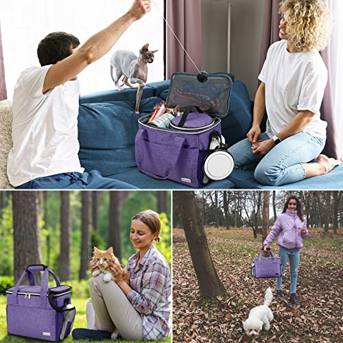 BAGLHER Dog Travel Bag Backpack Pet Supplies Backpack 5-Piece Set with Shoulder Strap 2 Lined Pet Food Containers 2 Foldable Feeding Bowls Essential Kit for Pet Travel - color: Purple, size: Medium
