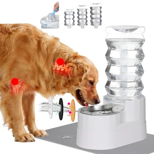 RIZZARI 8L Gravity Pet Water Dispenser with Raised Stand & Filter | Raised Stand Helps Reduce Neck Strain,Home Ready Design,Stainless Steel Bowl,Made for Large Dogs & Multi-Pet Homes - color: Bright White, size: 8L