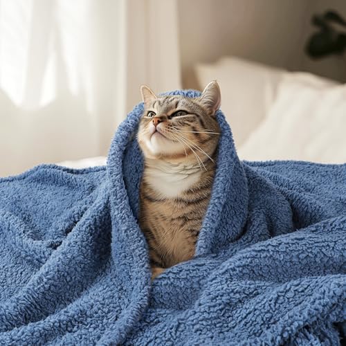 Luciphia Premium Fleece Dog Puppy Blanket Soft Pet Sherpa Calming Cat Blankets Throw for Small Medium Dog Cat(Haze Blue,30x20 inches) - color: Haze Blue, size: 30x20 inches