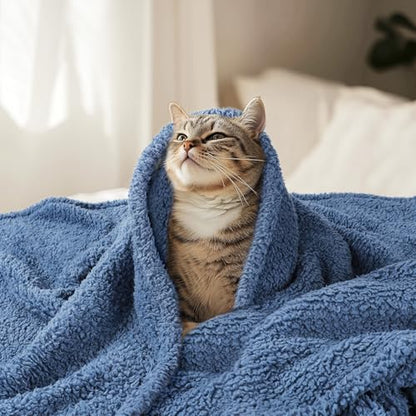Luciphia Premium Fleece Dog Puppy Blanket Soft Pet Sherpa Calming Cat Blankets Throw for Small Medium Dog Cat(Haze Blue,30x20 inches) - color: Haze Blue, size: 30x20 inches