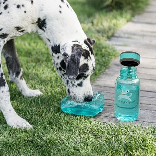 OllyDog OllyBottle Tritan Water Bottle with Detachable Dog Bowl | BPA Free Leakproof | 20oz | Share Water with Your Dog | Hiking Travel Camping (600ML, Aqua Blue) - color: Aqua Blue, size: 600ML