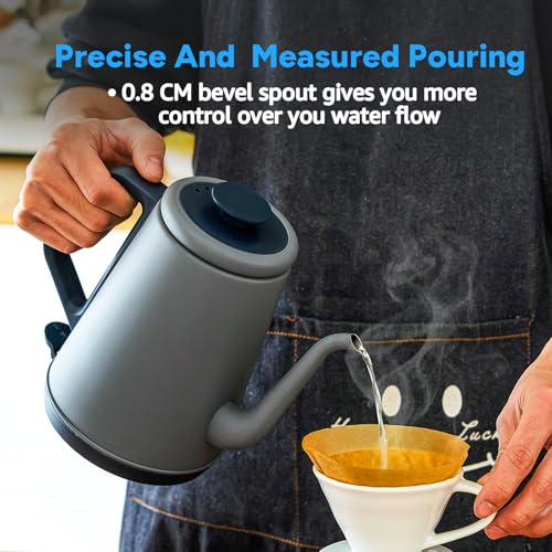 DmofwHi Gooseneck Electric Kettle(1.0L),1000W Electric Tea Kettle of 304 Stainless Steel,Auto Shut off,Water Kettle for Coffee and Tea-Grey - color: Grey