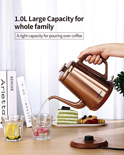 DmofwHi 1000W Gooseneck Electric Kettle (1.0L),100% Stainless Steel BPA Free Tea Kettle with Auto Shut - Off Protection, Pour Over Coffee Kettle -Copper - color: COPPER