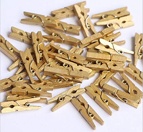 iKammo 50pcs Wooden Clothespins - Mini Gold Clothes Pins, 1.38 inch, Photo Pegs for Wrapping, Picture Hanging, Arts&Crafts, Photo Display (Gold, 3.5 * 0.7cm) - color: Gold, size: 3.5*0.7cm