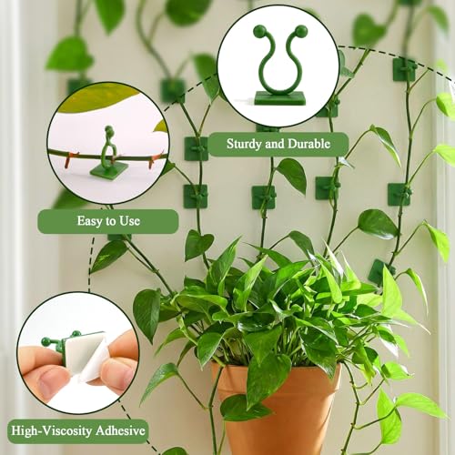 100 Pcs Plant Climbing Wall Fixture Clips, Green Plant Fixer with Self-Adhesive Hook, Fixing Clip Vines Holder for Indoor Outdoor Plants Support Cable Wire (Medium)