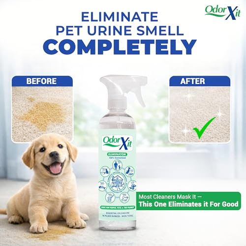 Pet Urine Odor Eliminator Spray, Ideal for Cat, Dog Poo and Urine Smell, Versatile & Natural Odor Neutralizer for Home and Outdoor Use, Ready to Use, 16oz - style: 16 Fl Oz Ready to Use Spray