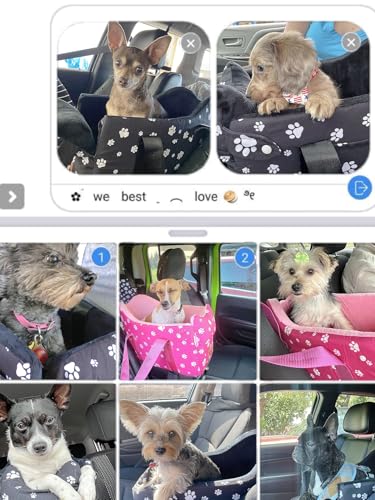 Center Console Dog Car Booster Seat for Small Dogs 0-15 lbs - Grey Pet Travel Carrier Safety Leash, Detachable Seat Belt & Storage Pockets - color: Grey