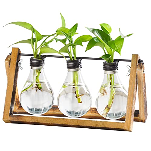 Marbrasse Plant Propagation Stations with Wooden Stand, Desktop Plant Terrarium Holder Bulb Vase, Glass Vase Container with Metal Swivel Holder for Hydroponics of Home Garden Office Decor Lover Gifts - color: 3 Bulbs Vase