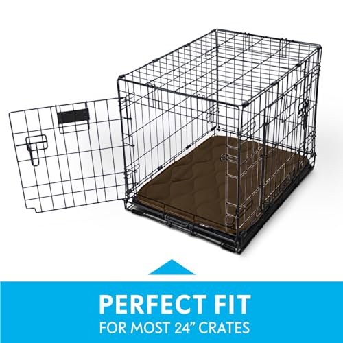 Paw Inspired Washable Padded Crate Mats for Dogs | 23" x 17" Pad, Fits 24-inch Kennels | Leakproof, Waterproof Bottom, Plush Pet Beds (Dark Brown) - color: Dark Brown, size: 24 Inch