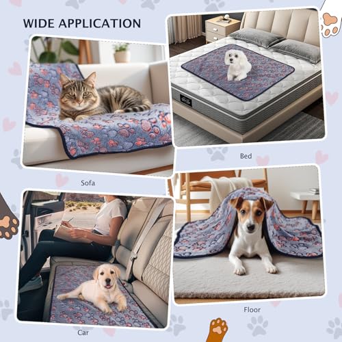 BVAGSS 6 Pack Small Dog Blanket, Super Soft Warm Pet Cover Blankets, Paw Print Puppy Fleece Flannel Blanket for Small Medium Dogs and Cats MW003 - color: Blue Paw, size: 6 Pack of 29.9x20.5 Inches