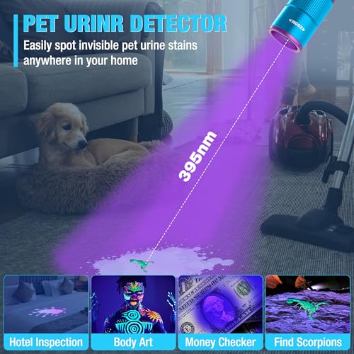 EverBrite Rechargeable Pen Flashlight with UV Light and White Light, 395nm Black Flashlight with Clip, Zoomable 4 Modes with Memory, USB C Cable, for Camping, Emergency, Pet Urine Detection,Blue - color: Blue