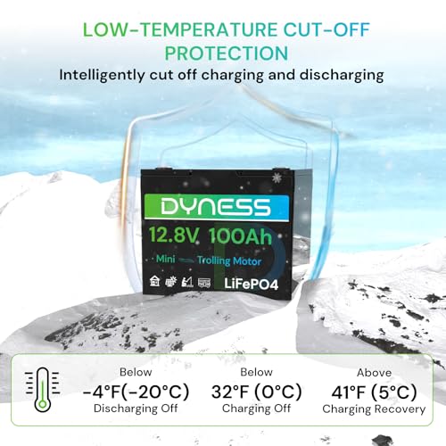 Dyness 12V 100Ah Mini LiFePO4 Battery 4 Pack Group 24, 12 Volt Deep Cycle Lithium Battery with 100A BMS, Low-Temp Protection & 10 Years Lifespan for RV, Boat, Trolling Motor, Solar Off-Grid, Golf Cart - style: 12V 100Ah Mini(4 Pack)