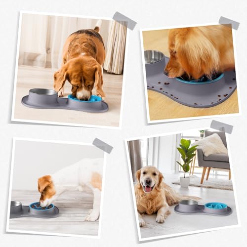 MateeyLife Dog Food and Water Bowl Set 3 in 1, Slow Feeder Dog Bowls & Stainless Steel Water Bowl with Non-Spill Silicone Mat, Cat and Puppy Bowls Pet Dishes for Small Medium Large Breed Anti-Choking - color: Gray, size: Medium