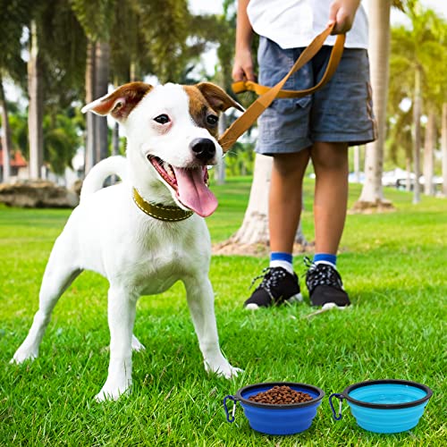 2-Pack Small Dog Travel Bowl, Collapsible Bowls for Dogs, Foldable Cat Water Bowl, Portable Pet Feeding Watering Traveling Dish (Light Blue & Dark Blue) - color: Light Blue & Dark Blue