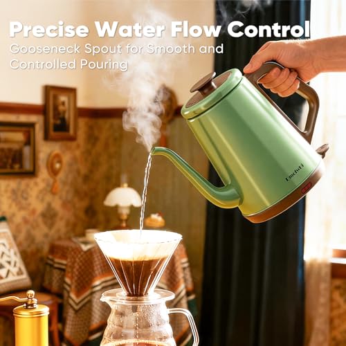 DmofwHi Gooseneck Electric Kettle(1.0L), 100% Stainless Steel BPA Free Classic Pour Over Coffee Kettle | Tea Kettle - Green - color: Green