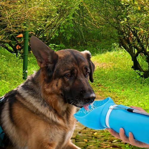 Portable Collapsible Dog Water Bottle - 550ml, Large Wide-Mouth Drinking Bowl, Ideal for Small and Large Dogs on Walks and Outdoor Activities (Blue) - color: Blue