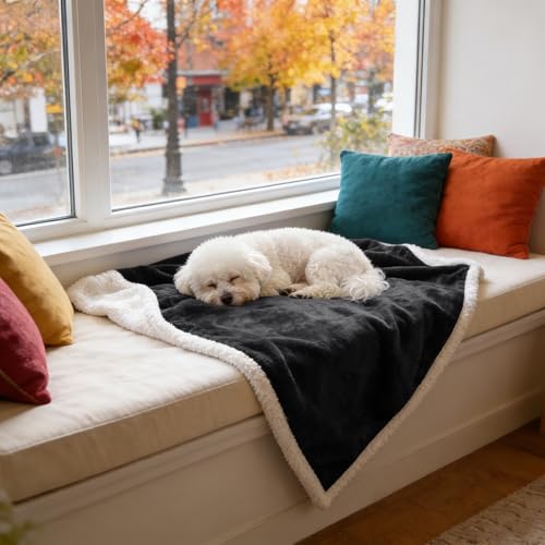 Kritter Planet Dog Blankets for Small Dogs, Soft Puppy Blanket, Pet Blankets for Cats, Lightweight & Washable, Perfect for Dog Beds, Car Seats, Creat, 30x40 inches - color: Black