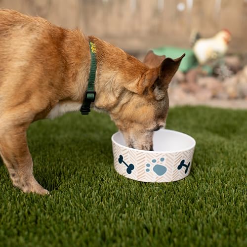 Loving Pets Dolce Moderno Dog Bowl – Modern Melamine Dog Food Bowl & Dog Water Bowl – Durable, Non-Slip Pet Dish for Small & Medium Dogs – Dishwasher Safe Dog Bowl (Large, 47 oz) - color: Yum Chevron, size: Large