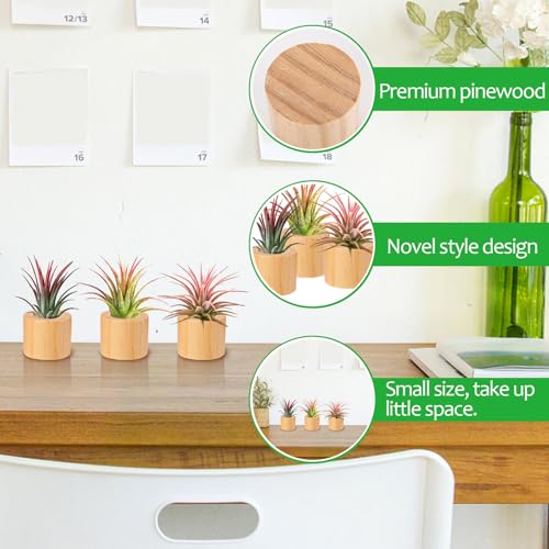 Bigmeta 3 Pcs Wood Air Plant Holder, 1.4" Rustic Style Airplant Display Stands for Women Gifts