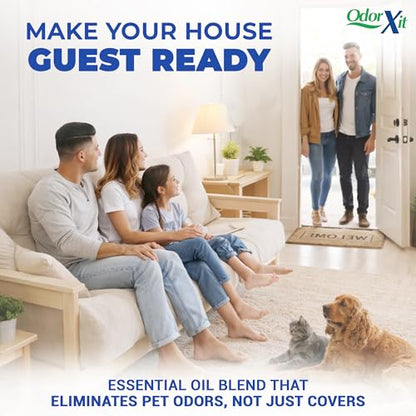 Pet Urine Odor Eliminator Spray, Ideal for Cat, Dog Poo and Urine Smell, Versatile & Natural Odor Neutralizer for Home and Outdoor Use, Ready to Use, 16oz - style: 16 Fl Oz Ready to Use Spray