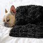 Pet Dog Bed Blankets, Fluffy Fleece Dog Throw Blankets Sleep Mat,Soft Puppy Blankets Cat Kitten, S M L XL,Fuzzy Reversible Sherpa Blanket for Bed, Couch, Sofa, Travel,Washable & Lightweight - color: Black, size: 40 INCH X30 INCH