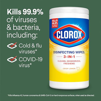 Clorox Disinfecting Cleaning Wipes Variety Pack, 75 Count Each, Pack of 2 (Package May Vary) - size: 75 Count (Pack of 2)