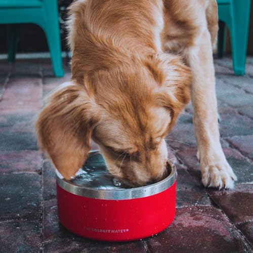 Coldest Dog Bowl - Anti Rust Metal, Non Slip, 3 Layers Insulated Stainless Steel Dog Bowls - Spill Proof & Heavy Duty - Water Bowl for Dogs, Cats & Pets, Dish Washer Safe (21 oz, Mars Red Glitter) - color: Candy Red Glitter, size: 21 oz