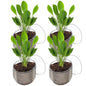 Pawfly Aquarium Plant Holder with Suction Cup, Clear Plastic Fish Tank Planting Holder, Fish Tank Plant Pot for Aquascape Decoration, Aquarium Planter Cup, 4 Pcs. - size: 4 Pack